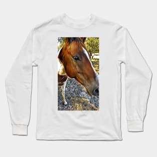 Why The Long Face ? Long Sleeve T-Shirt